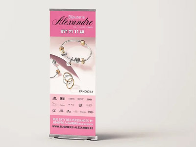 VDFA création et placement de Roll-up à Mons
